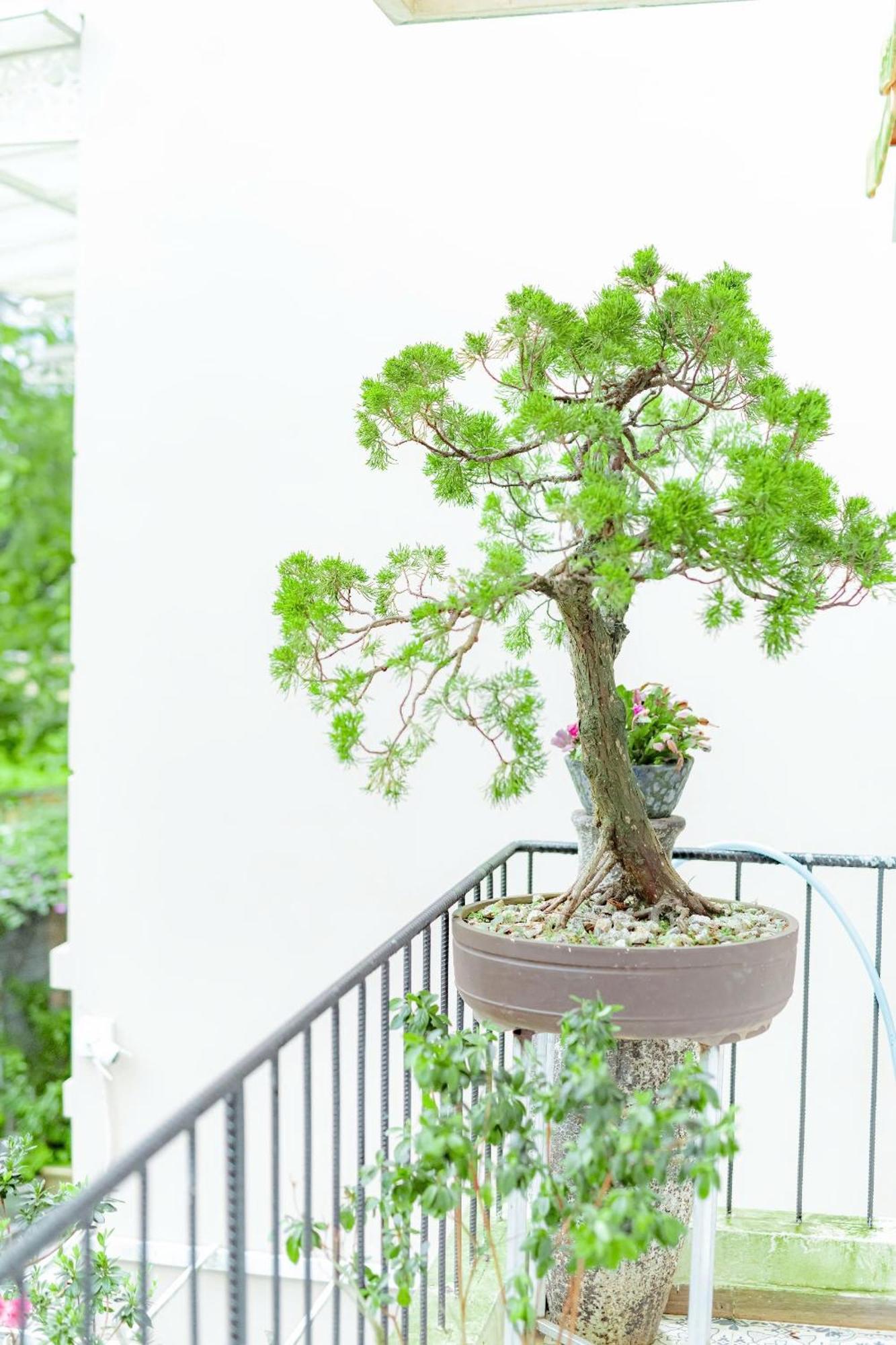 Villa Nho Xinh Khu Chi Lăng Buitenkant foto