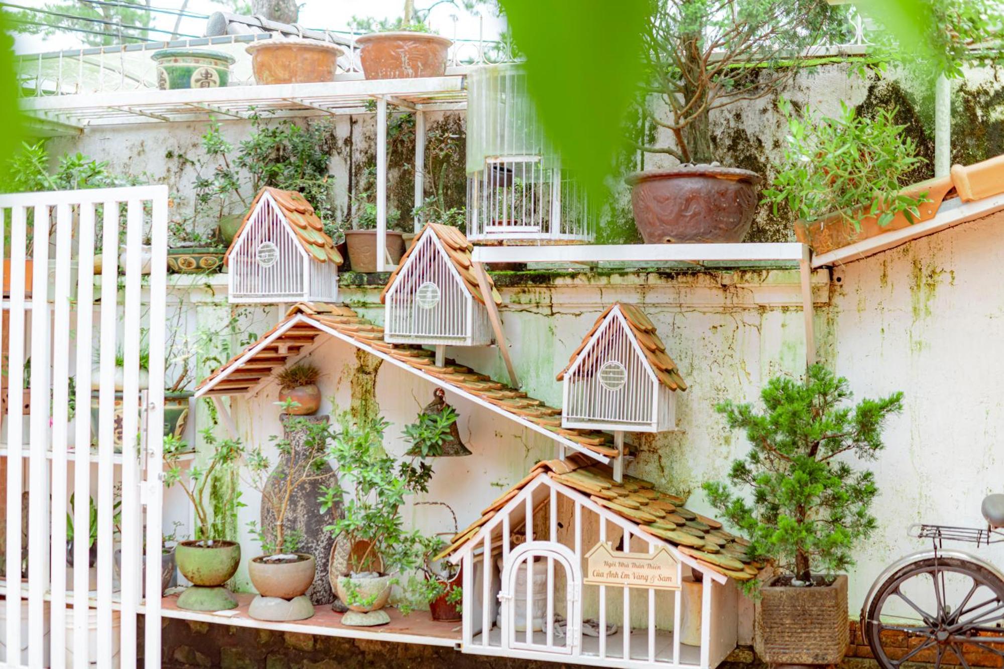 Villa Nho Xinh Khu Chi Lăng Buitenkant foto